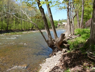 7825 Route 81, Oak Hill, NY 12460