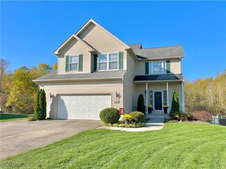 7438 Bittersweet Ln, Chippewa Lake, OH 44215