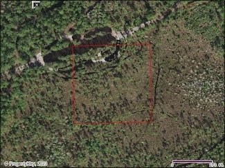 0 Holopaw Groves Rd Unit O6082204, Saint Cloud, FL 34771