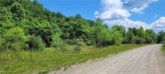 0 Bailey Long Rd Unit 5137907, Bethesda, OH 43719