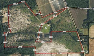 TBD Cartertown Rd, Alma, GA