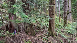 20 Hillside Place, Bellingham, WA 98229