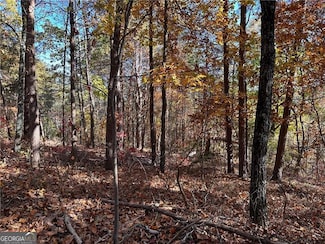 1334 Birch Ln, Ranger, GA 30734