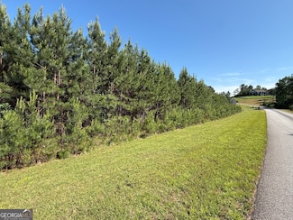 LOT 228 the Cove at Thirteen Hundred, Blairsville, GA 30512