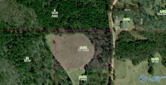6.7 ac County Road 469, Collinsville, AL 35961