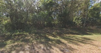 324 E Edgewood Dr, Georgetown, FL 32139