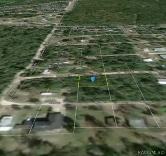 0 NE 200th Place, Fort Mc Coy, FL 32134