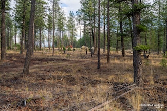 Lot 49 Basin Bend, Eureka, MT 59917