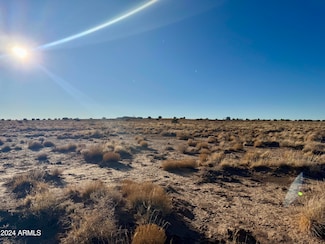 5339 Tina Rd Unit 122, Snow Flake, AZ 85937