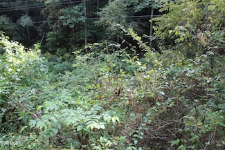 Tbd Campbell Hollow Rd, Honaker, VA 24260
