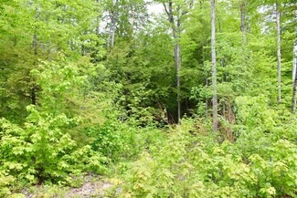 0 Alton Shores Rd Unit 69 4862852, Alton, NH 03810