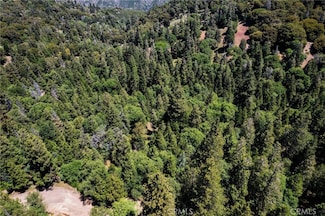 3430247 Mojave View Dr, Cedarpines Park, CA 92322