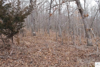 0 Bogardus Rd Unit Lot 2677 99111, Edwards, MO 65326
