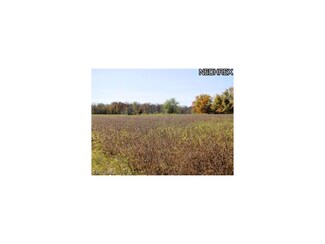 Parcel A Garver Rd, Litchfield, OH 44253