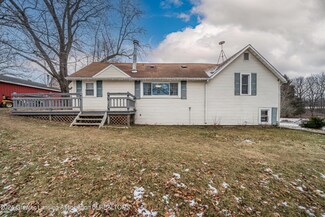 19717 S Chapin Rd, Elsie, MI 48831
