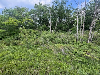 NHN Highland Pines Rd, Presque Isle, MI 49777