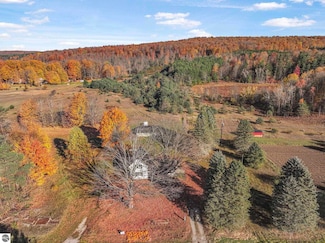 10308 Homestead Rd, Beulah, MI 49617