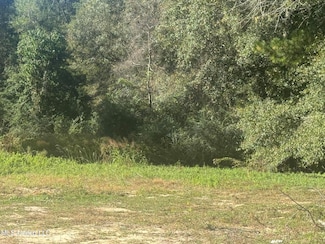 No Integrity Rd, McComb, MS 39648