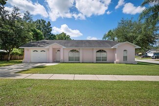 2299 Hamlin Ct, Valrico, FL 33594