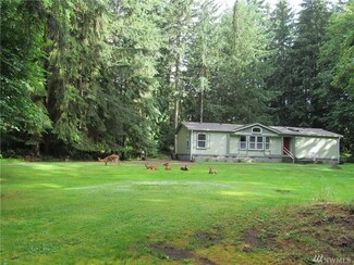 272 Deer Park Ln, Toledo, WA 98591