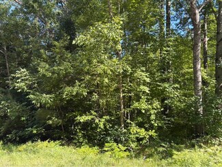 Lot 27 Azalea Ln, Frost Township, MI 48625
