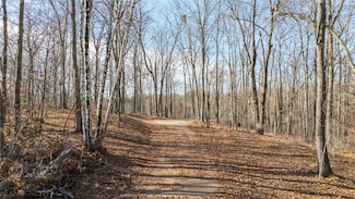 1.50 Acre On 290th Ave, Holcombe, WI 54745