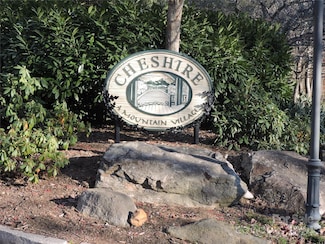 10 Whitman Ln Unit 41, Black Mountain, NC 28711