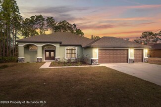10451 Gypsy Ave, Weeki Wachee, FL 34613