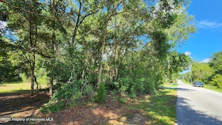 4104 E Scotty St, Inverness, FL 34453