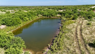County Road 131, Ballinger, TX 76882