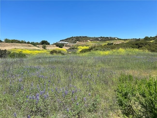 24201 Mulholland Hwy, Hidden Hills, CA 91302