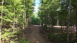 TR 2 E New Hope Rd, Ellijay, GA 30536