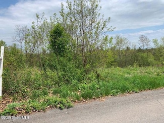 16 Eastview Dr, Ravena, NY 12143
