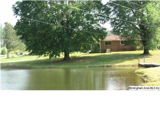 3900 Highway 13, Locust Fork, AL 35097