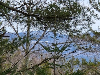 0 Jesse Ln Unit lot 3-3 4947592, Littleton, NH 03561