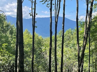 Lt 239 Down the Hill Rd Unit 239, Sylva, NC 28779