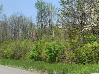 0 Under Mountain Rd Unit 146306, Copake, NY 12516