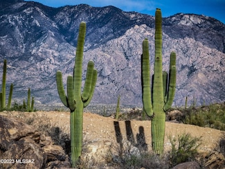 478 W Granite Gorge Dr Unit 562, Oro Valley, AZ 85755