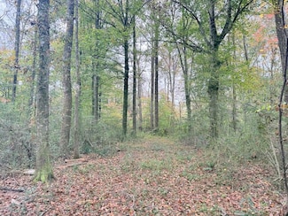 Tbd Union Church Rd Unit LotWP001, Magnolia, MS 39652