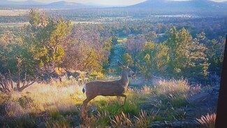 271 Mujeres Cir, Fence Lake, NM 87315