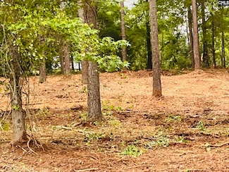2565 Pierce Boozer Loop, Prosperity, SC 29127