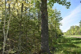 60XXX Andrew Anderson Rd, Mason, WI 54856