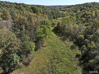 Off Hwy Pp, Marble Hill, MO 63764