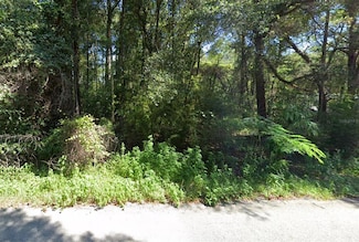 11575 NW 17th Place, Ocala, FL 34482