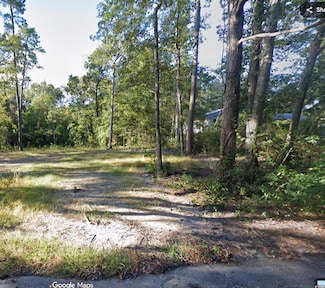 234 Pineneedle Cir, Johnsonville, SC 29555