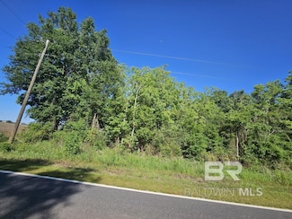 13144 Lipscomb Rd, Foley, AL 36535