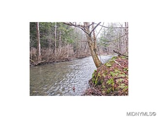 0 Erieville Rd Unit 1501499, Georgetown, NY 13072
