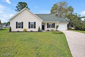 1613 Blue Tick Ct, Wilmington, NC 28411