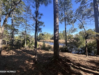 309 Jo Jane Rd, Oriental, NC 28571