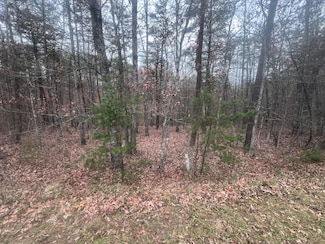 2851 Lindsay Dr, Elliston, VA 24087